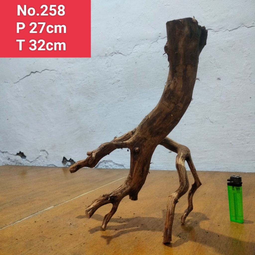 bonggolan akar Rasamala size L akar aquascape aquarium 258