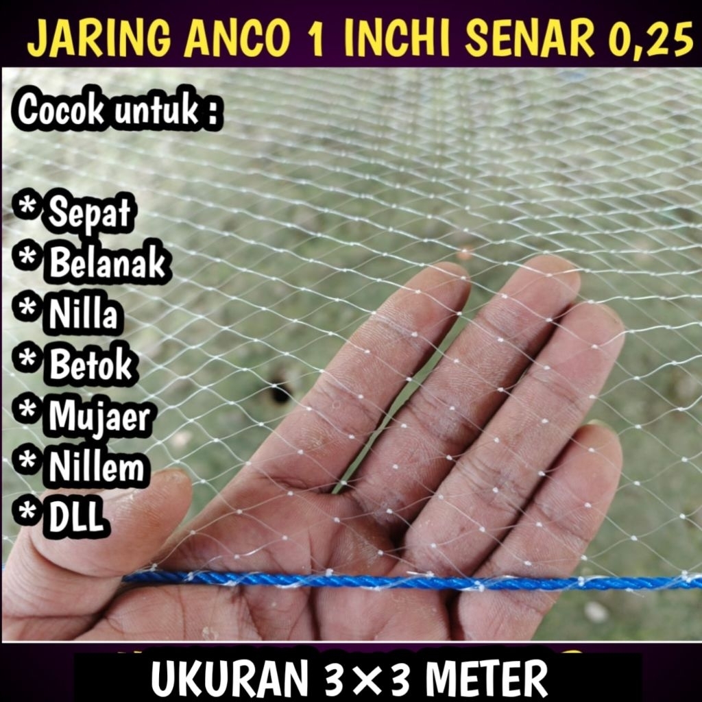 Branjang ikan / Jaring anco 3×3 meter lubang 1 inchi senar 0,25 jariing ikan