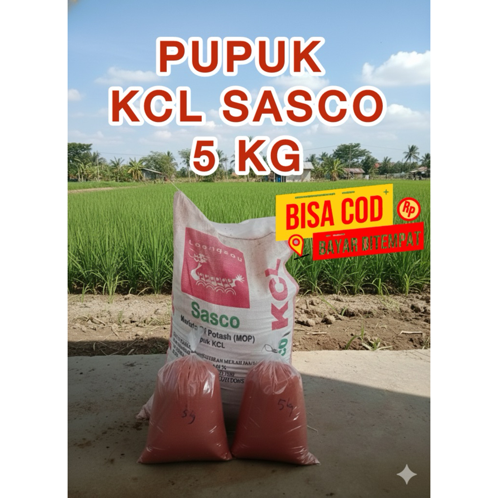 Pupuk KCL / MOP Sasco 5 KG