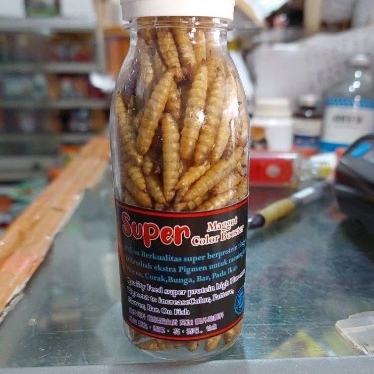 SUPER MAGGOT COLOR BOOSTER COCOK UTK IKAN PREDATOR KOI DLL
