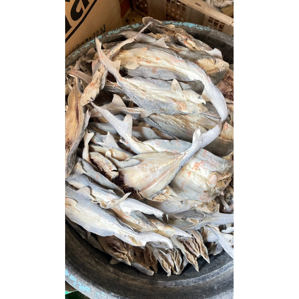 ikan asin cucut/daging hiu