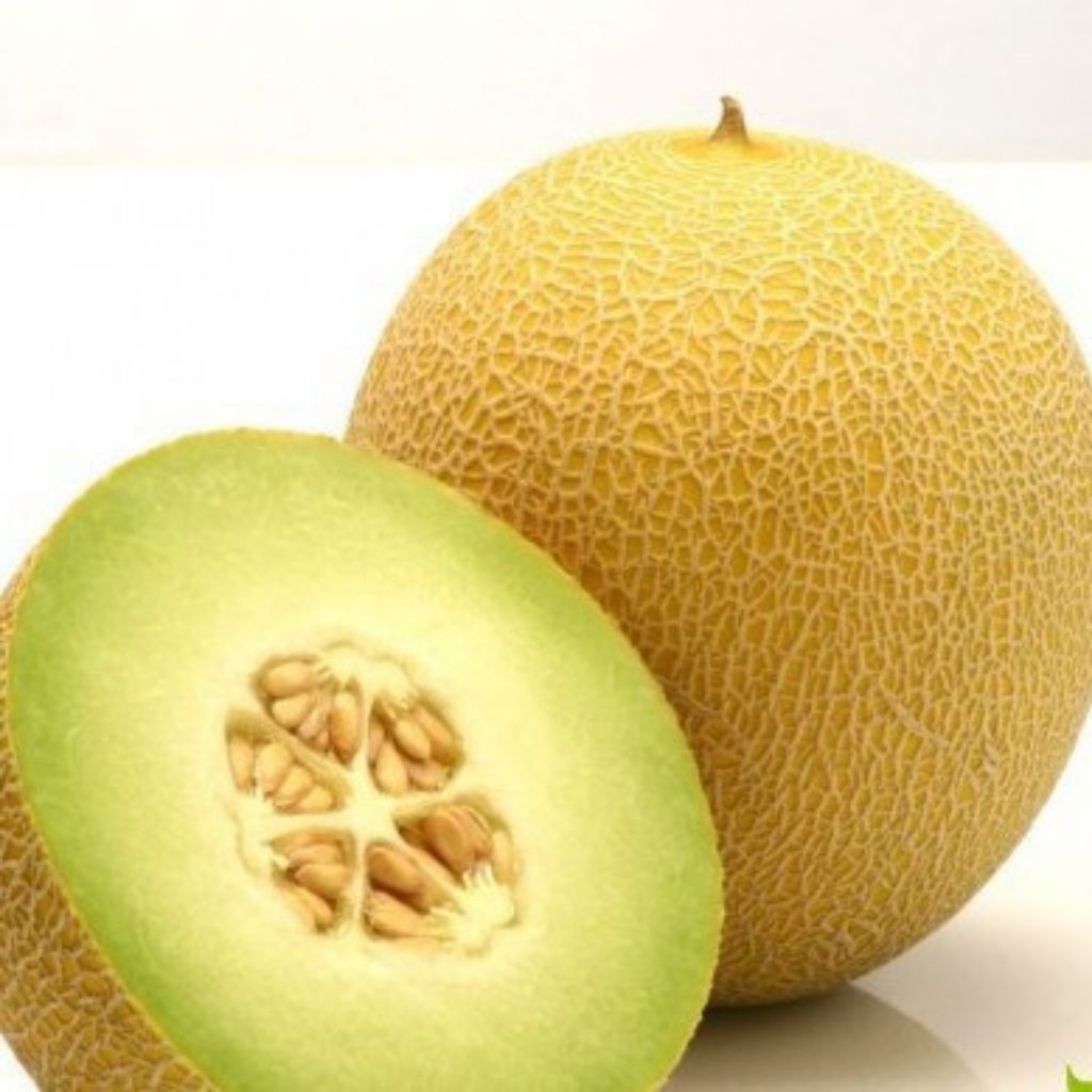 melon inthanon