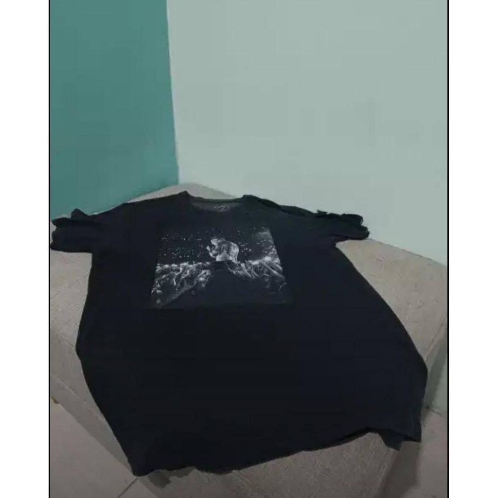 Linkin park original rare item