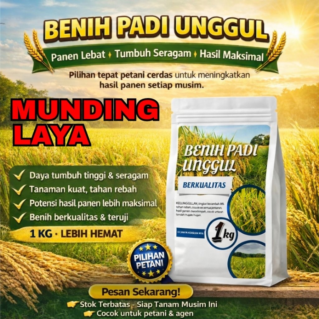 Benih padi unggul munding laya original 1kg