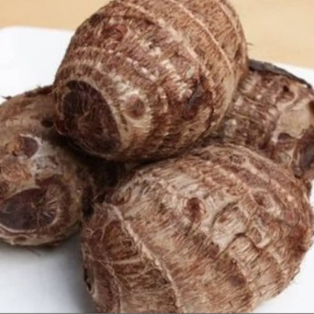 Talas mbote/mbote talas bagus empuk