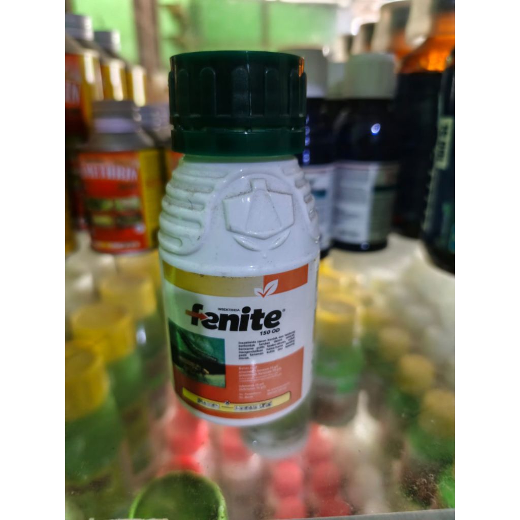 insektisida fenite 100 ml