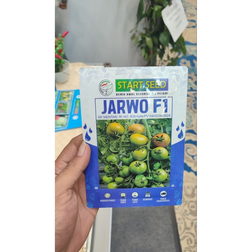 Tomat Jarwo F1