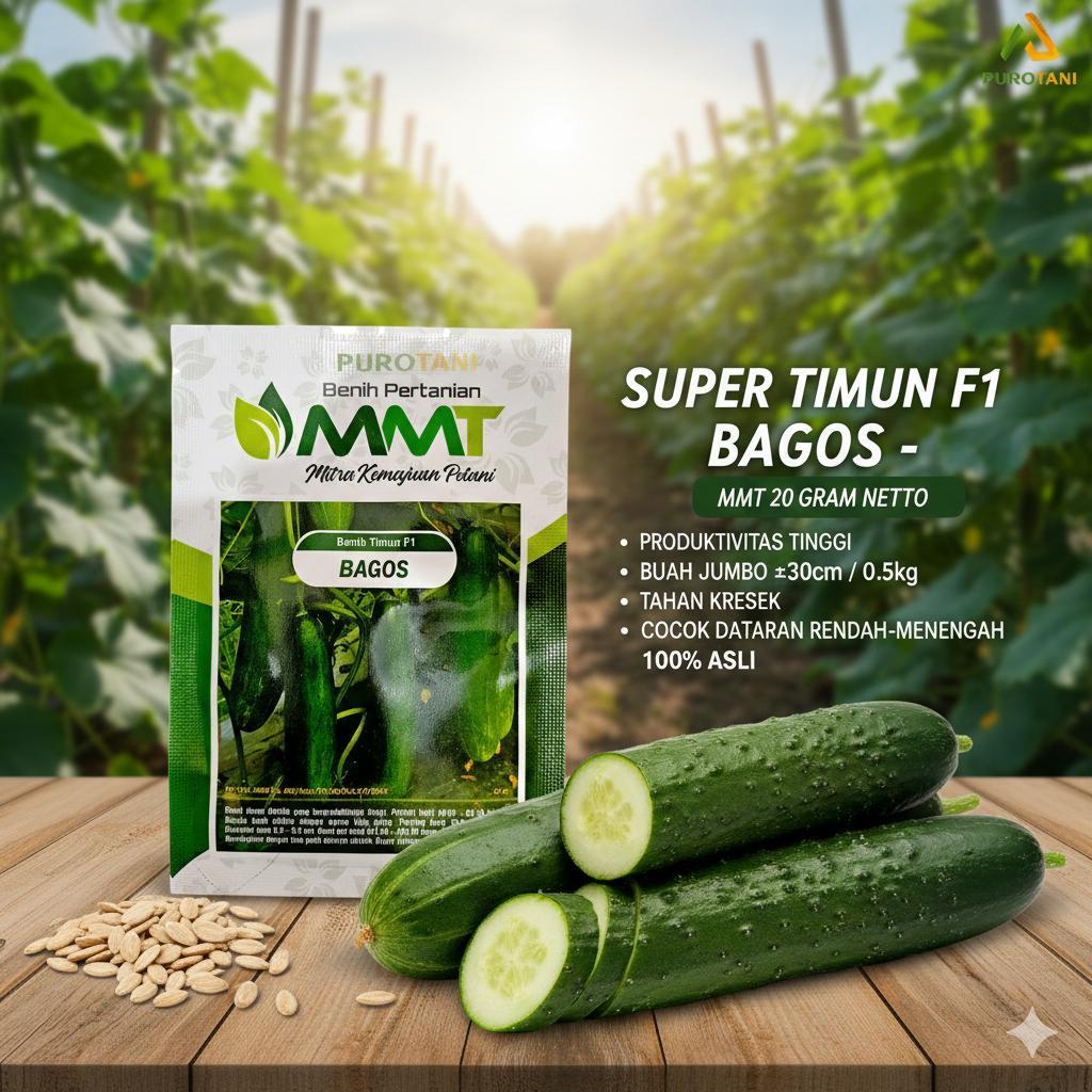 Benih Timun F1 BAGOS MMT SEED 20 Gram 10 GR Bibit BAGOS BAGUS Ketimun Mentimun  Vigor Baik Tahan Pen