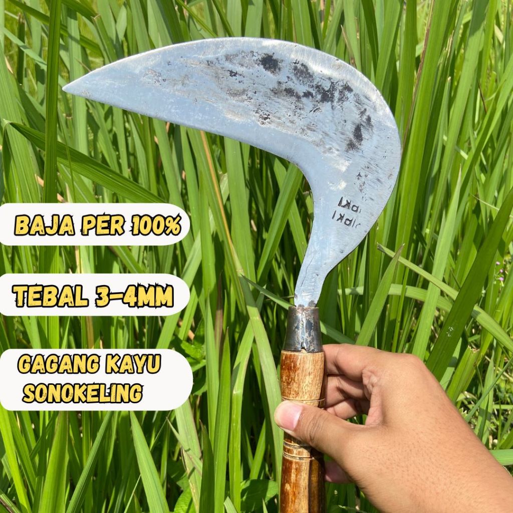 Sabit/Arit rumput baja per asli perkakas taniperalatan kebun