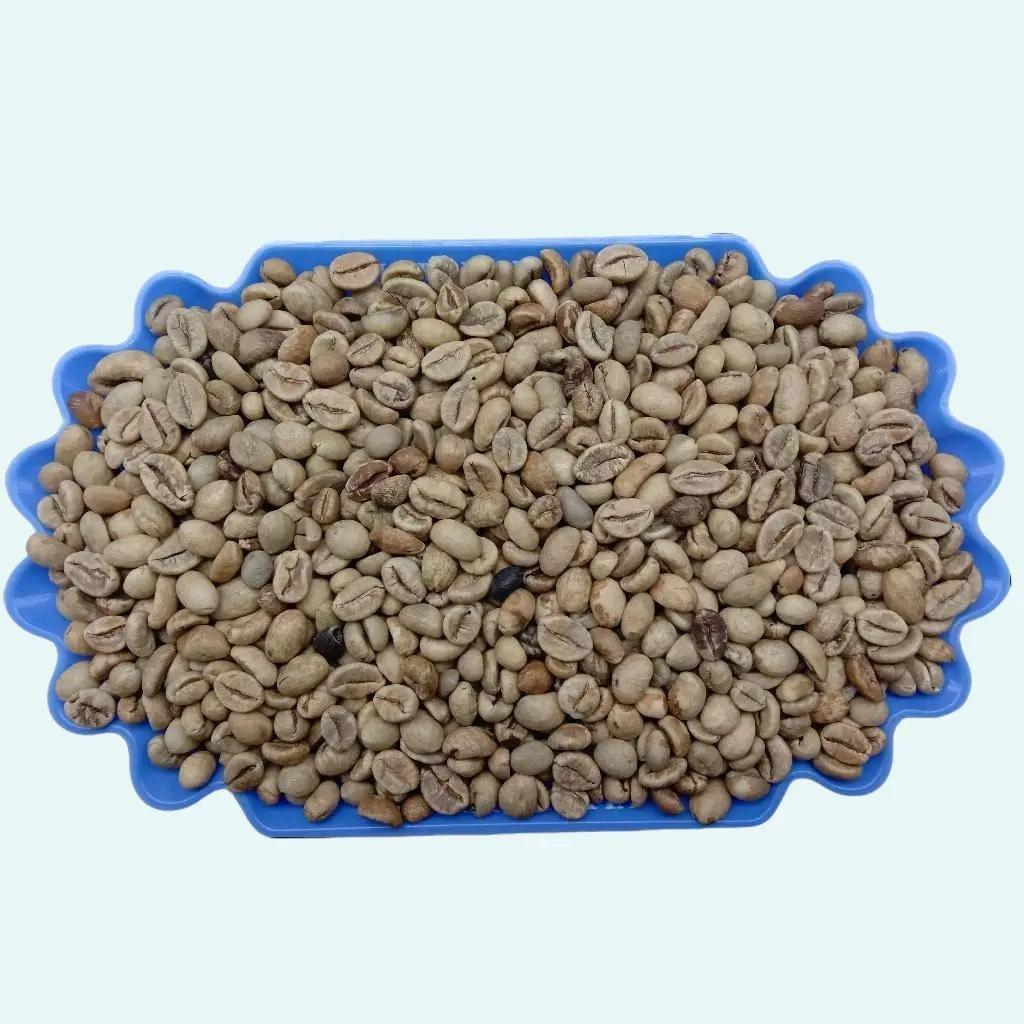 AP1 GRADE 3 ROBUSTA GREEN BEAN / BIJI KOPI MENTAH ROBUSTA LAMPUNG - 1 KG