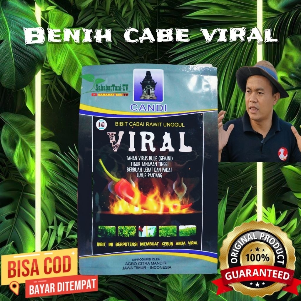 BENIH CABE VIRAL 10GR BY CANDI