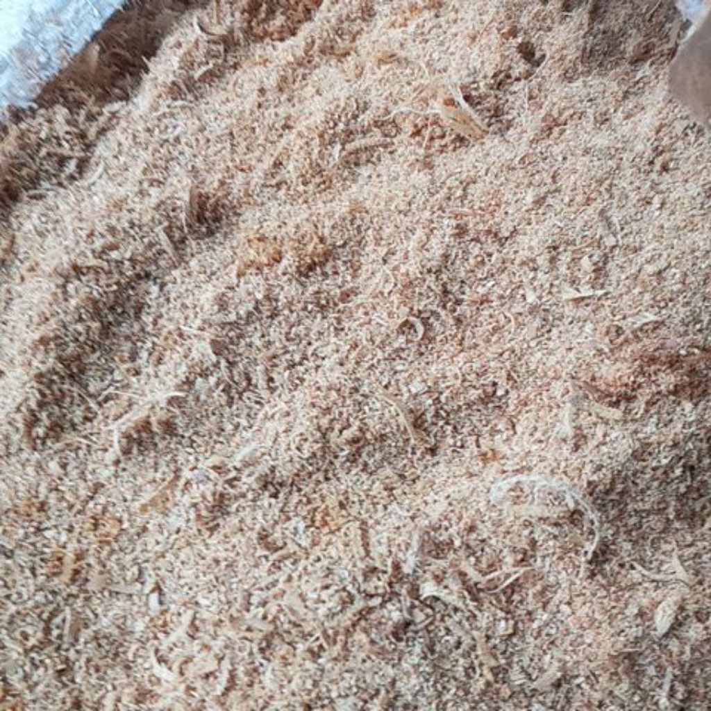 serbuk gergaji halus (kayu jati)