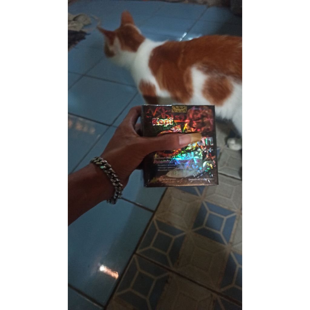 pajangan kucing hitam jantan