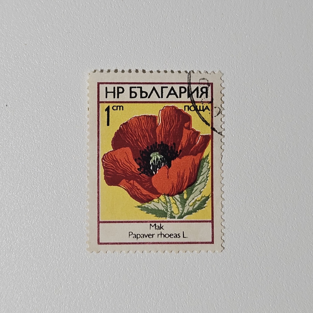 Perangko Flora Bulgaria: Bunga Mak Papaver Rhoeas (Perangko Klasik 1970)