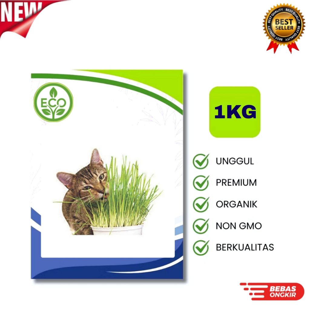Benih RUMPUT KUCING [1KG] - Biji Wheatgrass Rumput Gandum