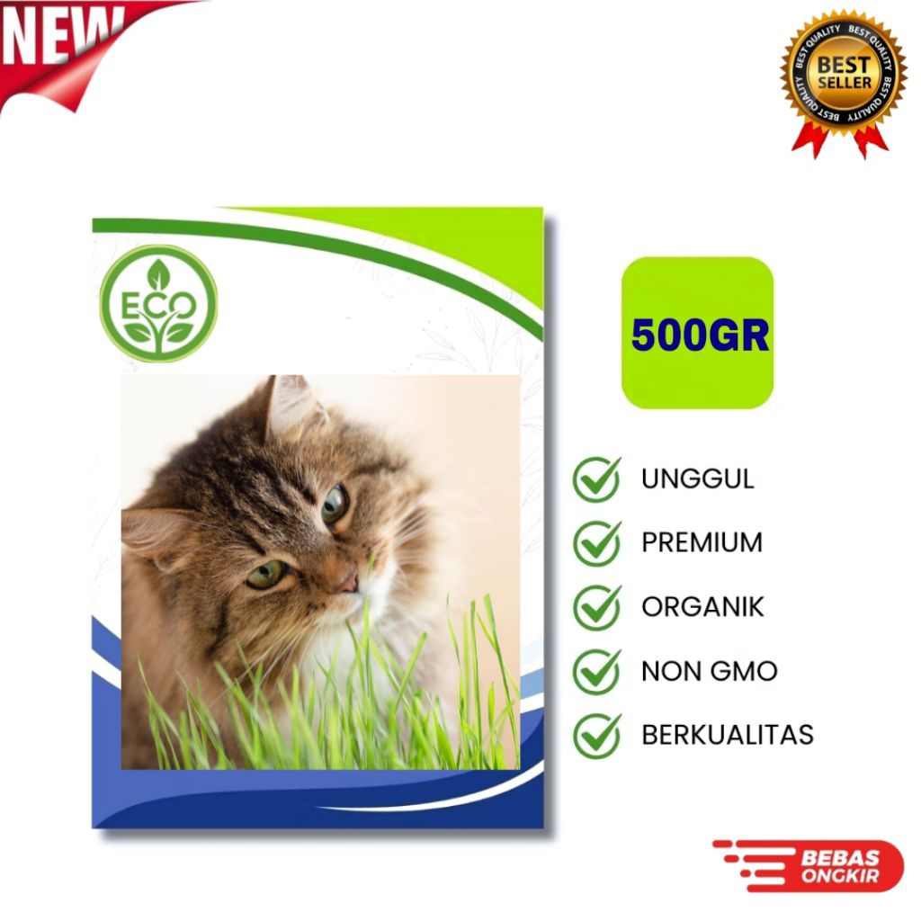 Benih RUMPUT KUCING [500GRAM] - Biji Wheatgrass Rumput Gandum