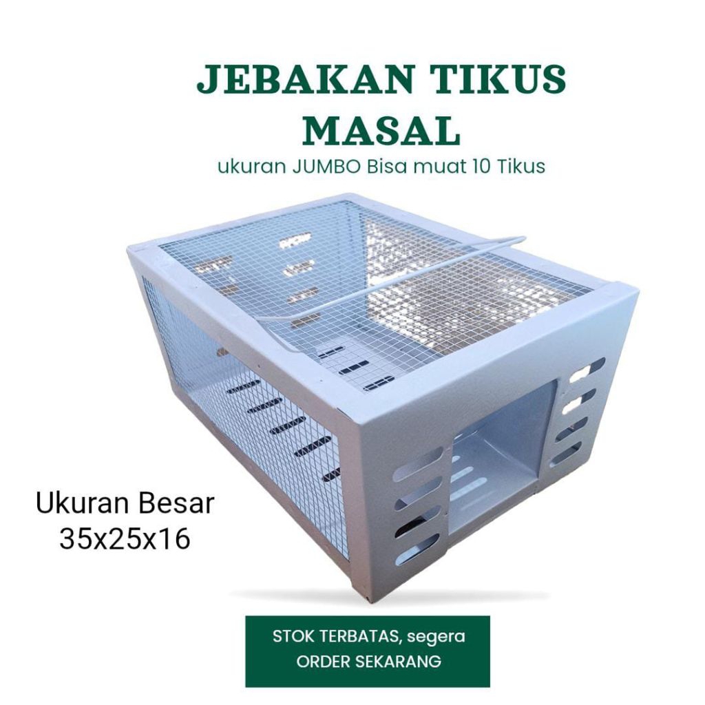 TERMURAH PERANGKAP TIKUS MASSAL UKURAN JUMBO