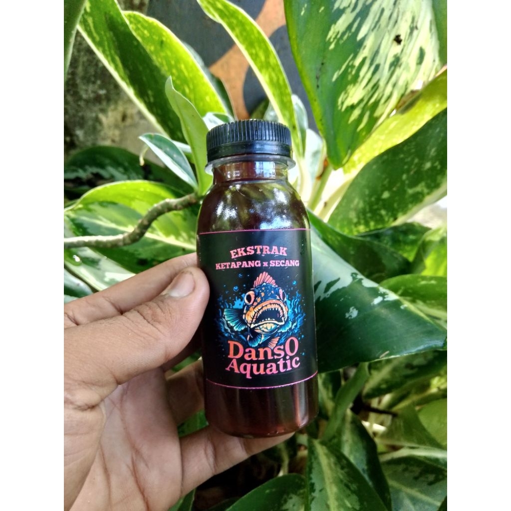 Extra Ketapang x Secang