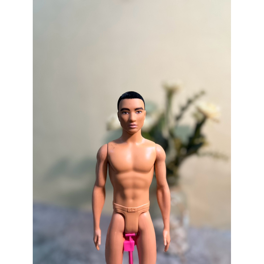 BARBIE PRELOVED / BARBIE KEN LOOKS BRANDON