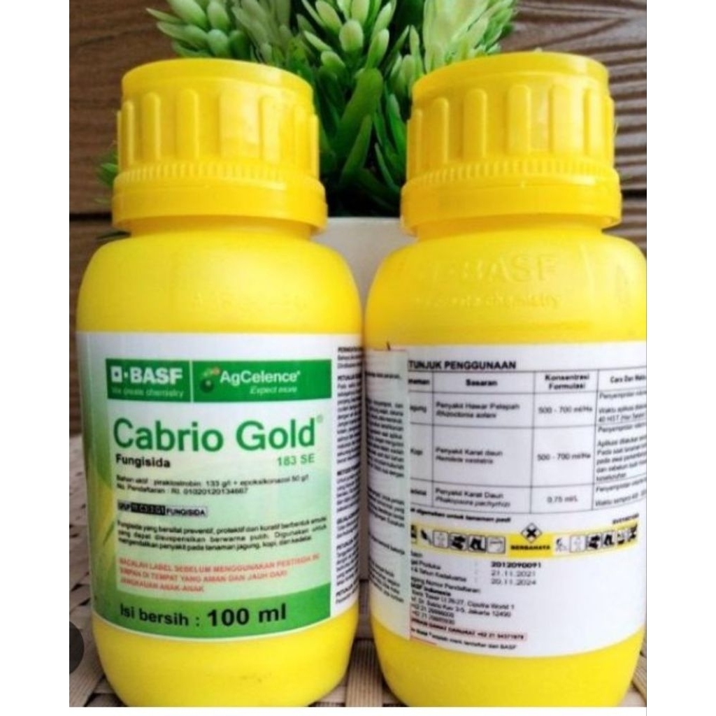 cabrio  gold 100ml