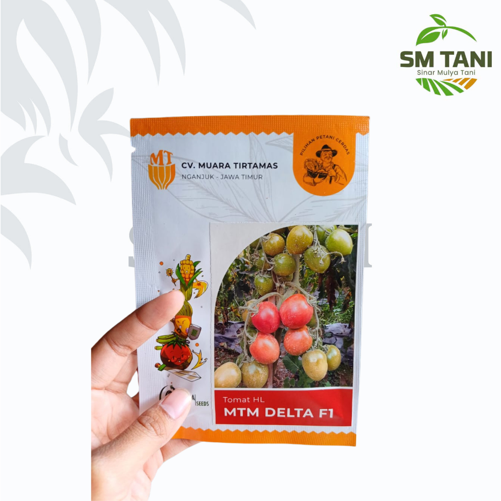 Benih Tomat Delta f1 10 gram MTM