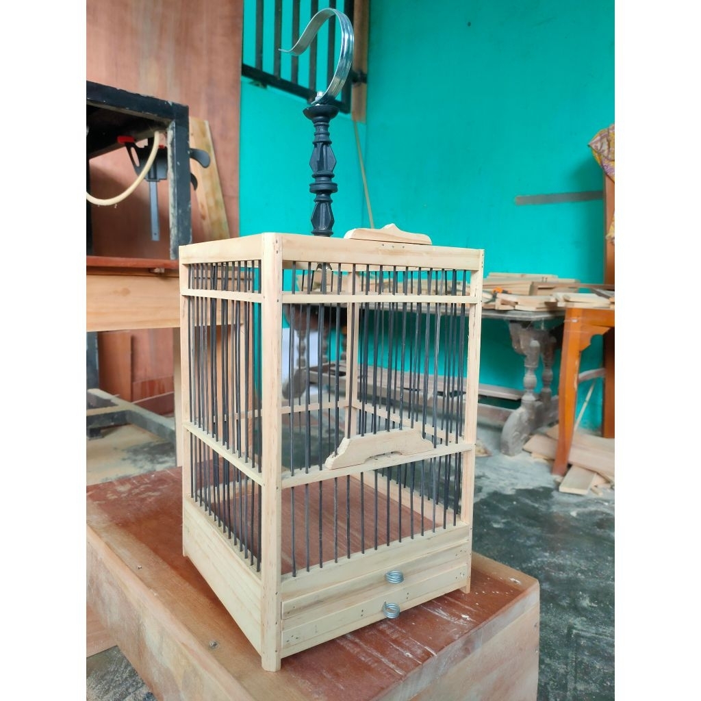 Sangkar Pleci 20×20 Ambrukan Setengah jadi