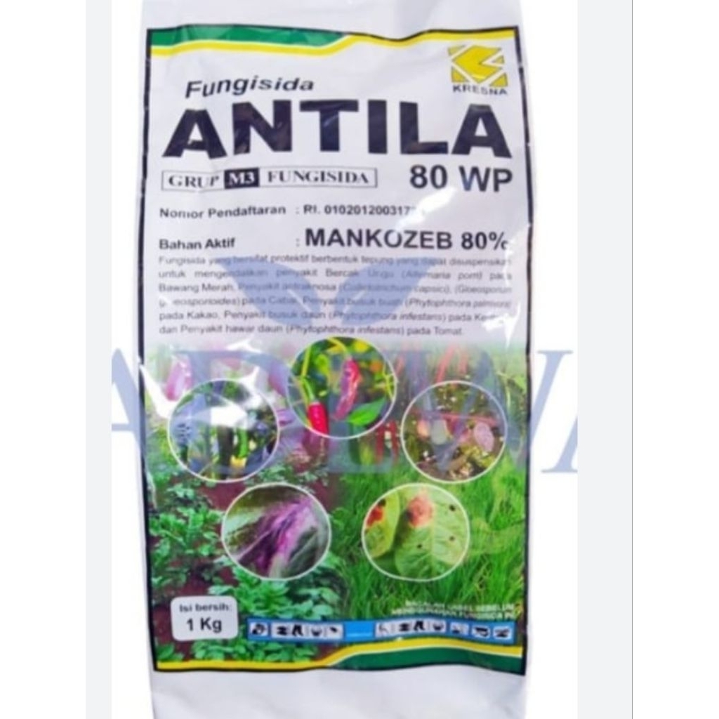 antila 1kg