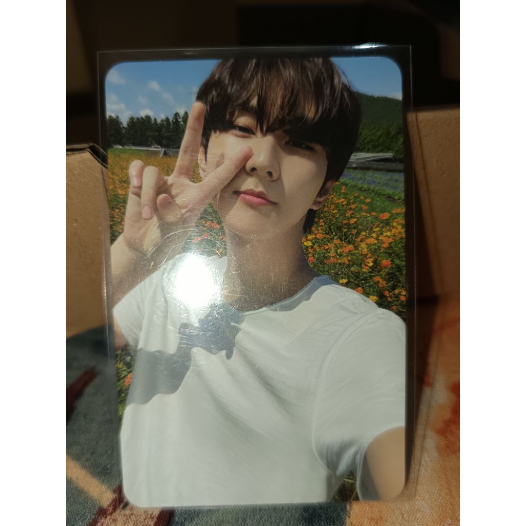 JUNGWON ENHYPEN PHOTOCARD OFFICIAL POB KPOPMERCH DARKBLOOD