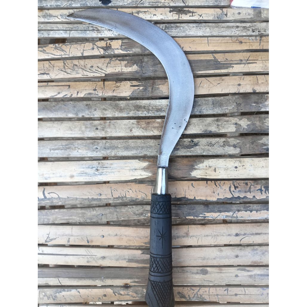 arit ramban madura asli