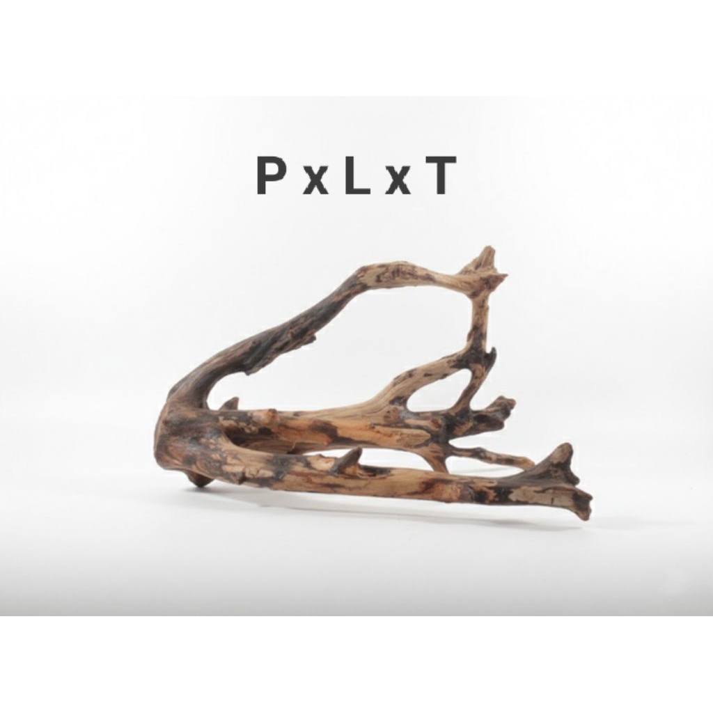 Kayu Tenggelam Aquascape Size L