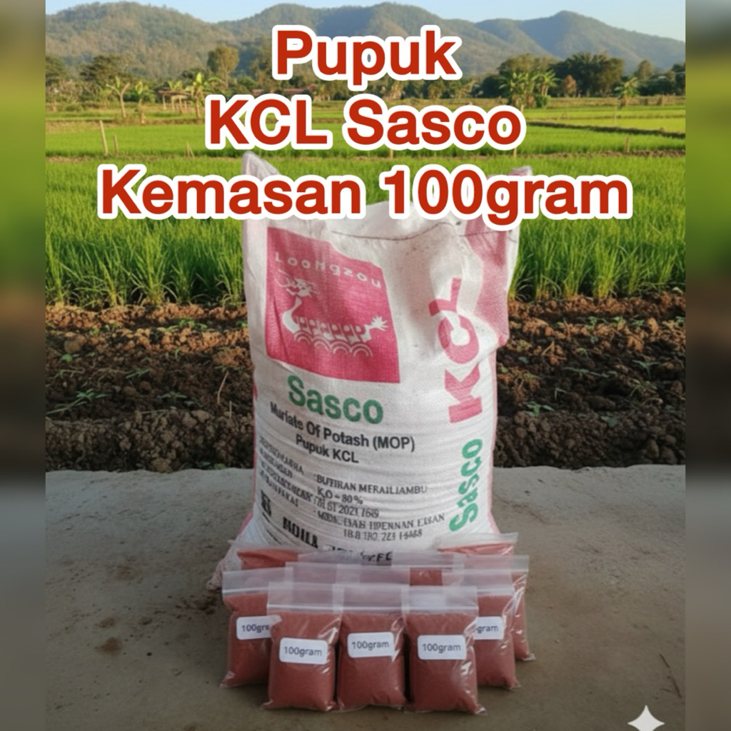 Pupuk KCL / MOP Sasco Kemasan 100 gram