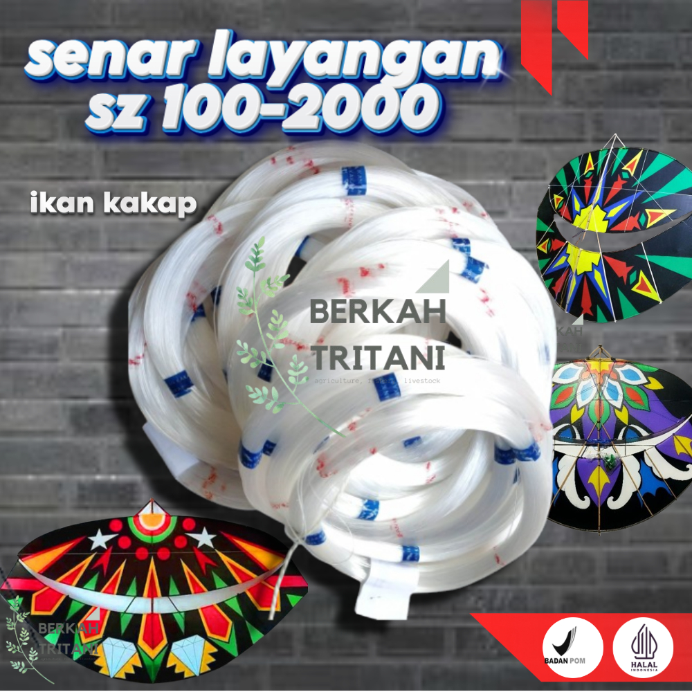 SENAR LAYANGAN IKAN KAKAP UKURAN 100- 2000  BERKUALITAS