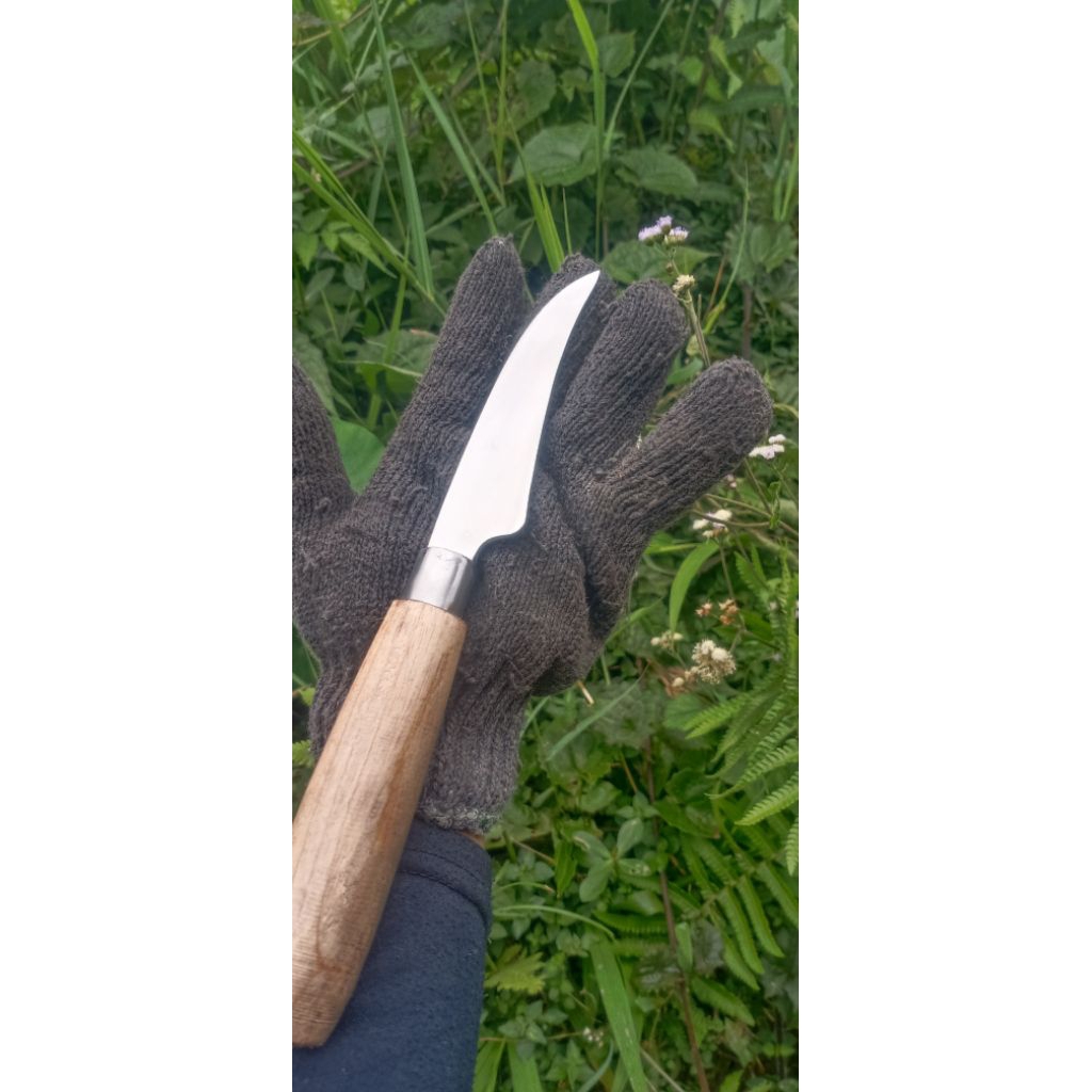 pisau cangkok  tanaman