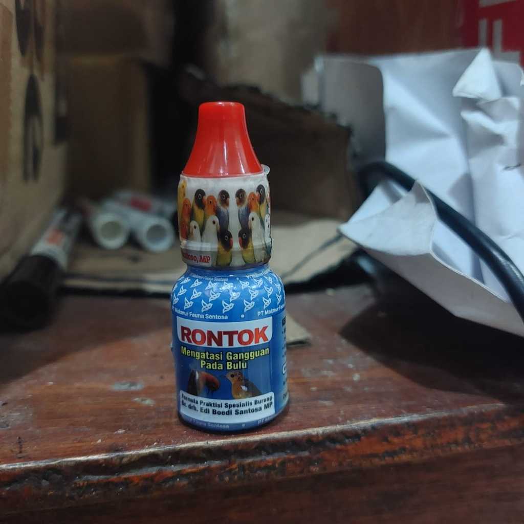 RONTOK  DR.EDI  OBAT BURUNG SAKIT GANGGUAN PERTUMBUHAN BULU BOTAK BULU RONTOK MABUNG