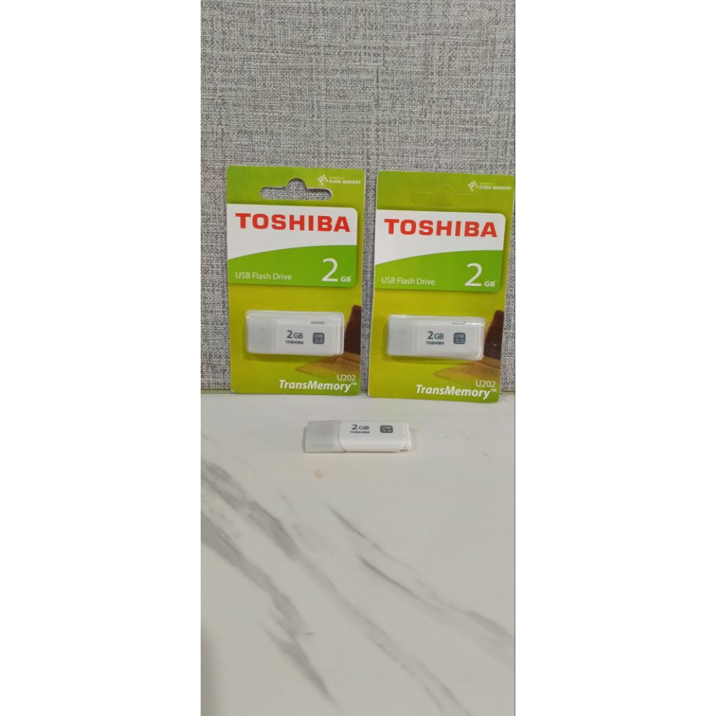 HEN 9.00 FLASHDISK Activator Aktivasi PS4 HEN 9.00