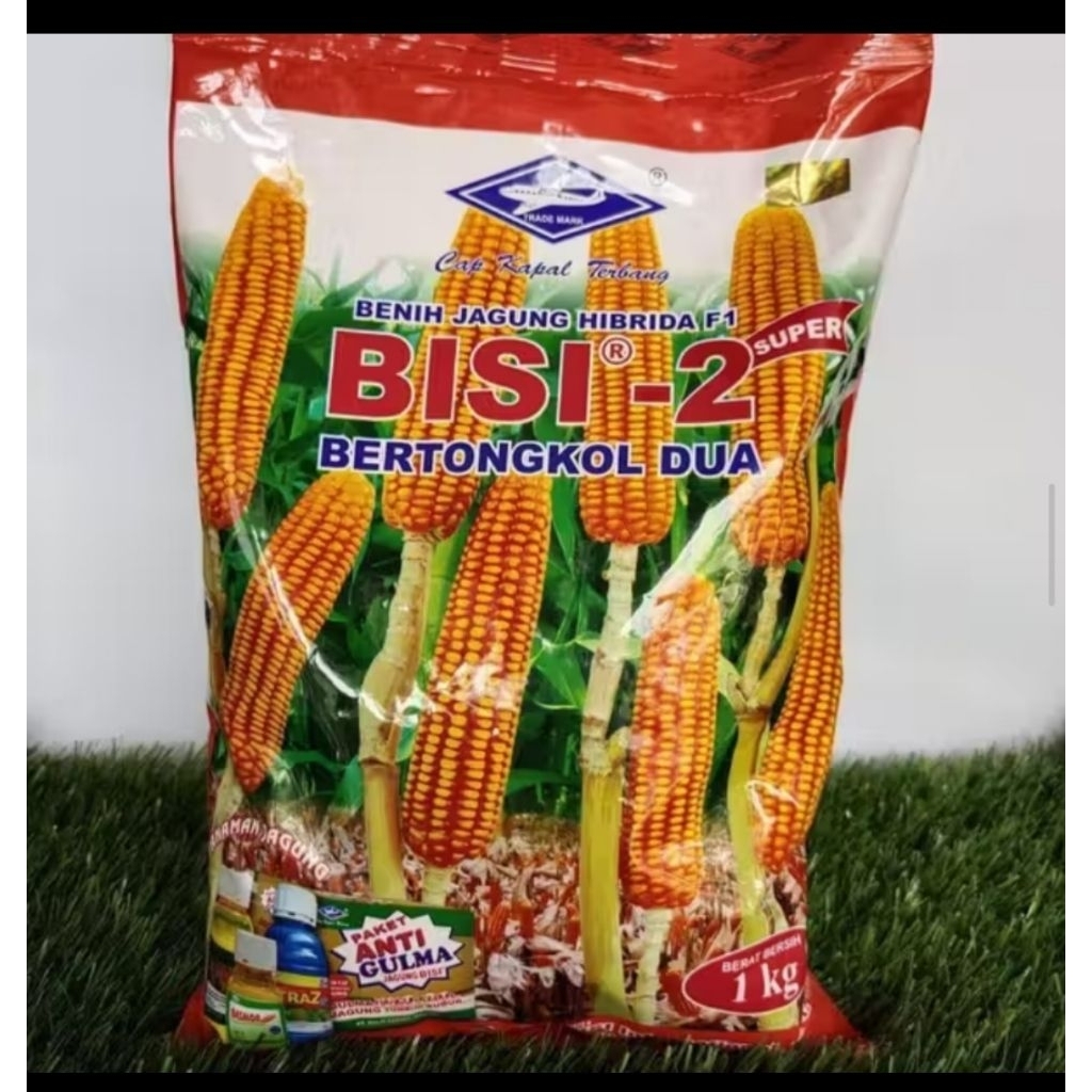 (PAKET HEMAT 5KG)BENIH JAGUNG BISI 2 ORRIGINAL