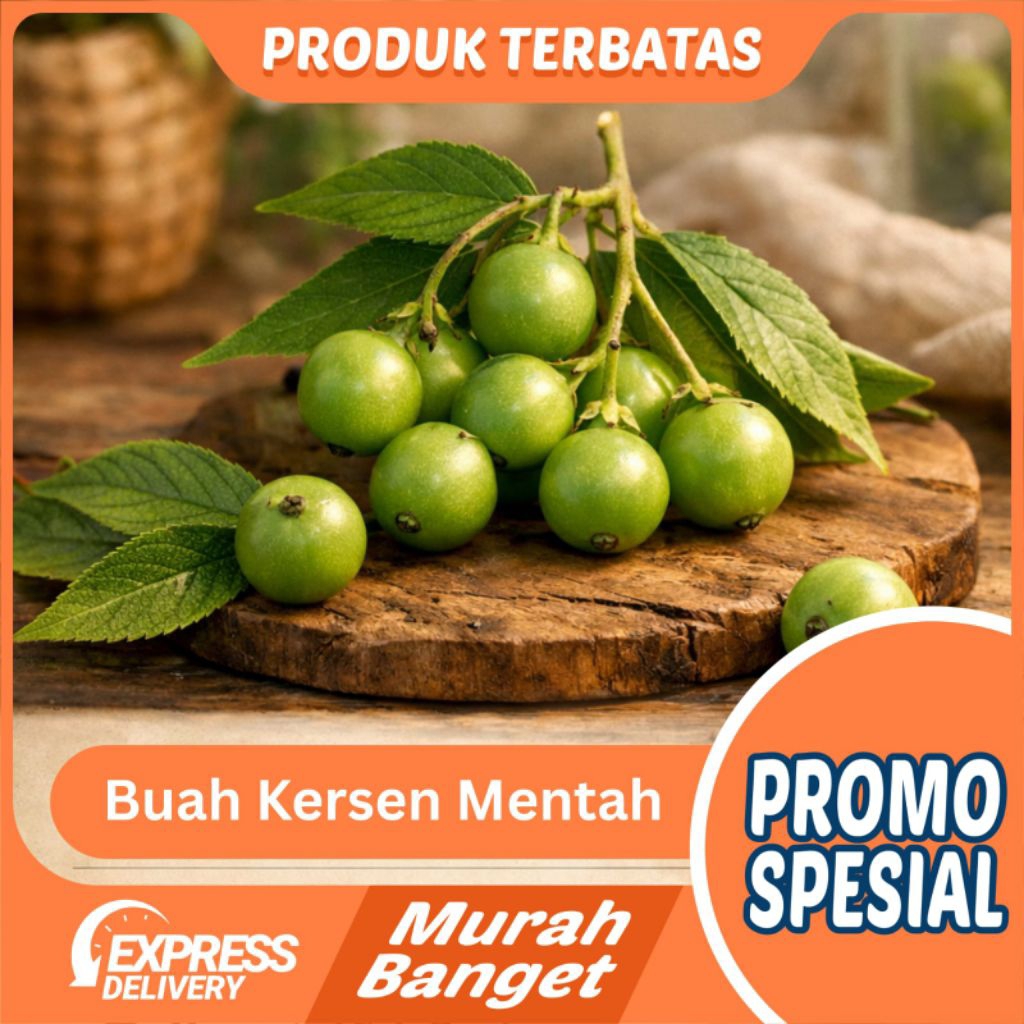 Buah kersen HIJAU segar 100 buah / talok / ceri (Muntingia calabura)