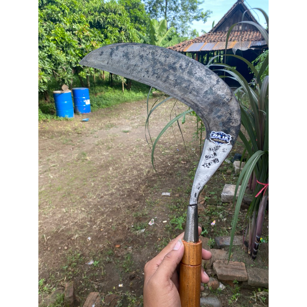 Riyan baja tembus sabit rumput