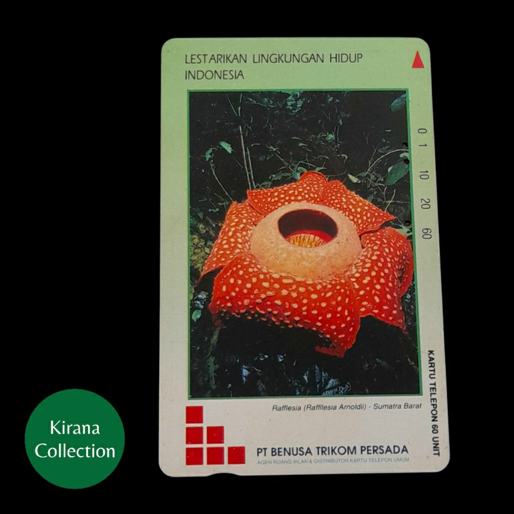 LOT T460 KOLEKSI KARTU TELEPON LAMA INDONESIA MAGNETIC IKLAN PT. BENUSA TRIKOM PERSADA RAFFLESIA USE