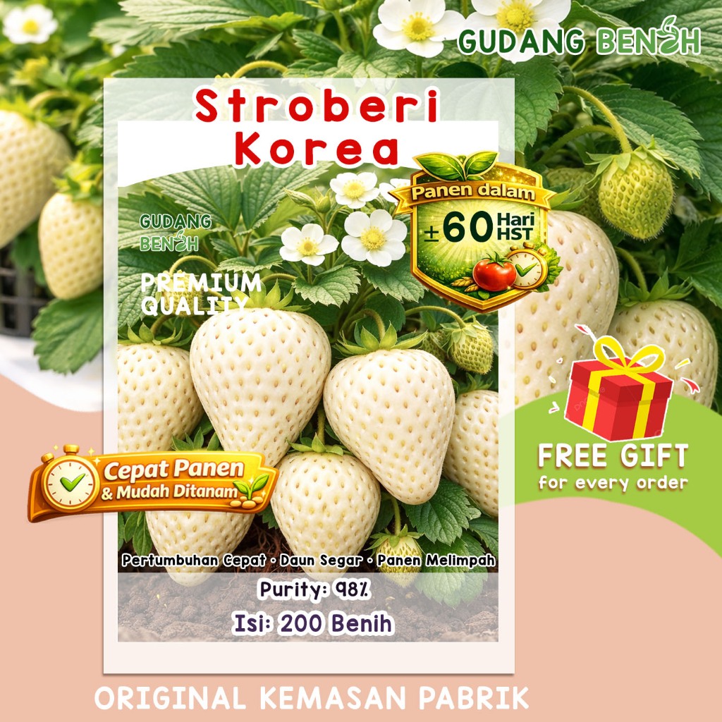 Benih Biji Stroberi Korea King Strawberry Jumbo Manis Isi 200 - Bibit Stroberi Putih Isi 200 Biji