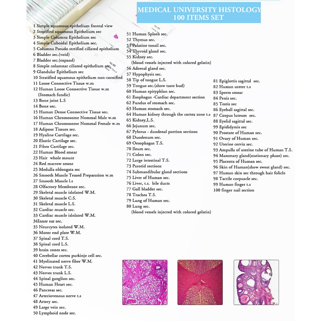 PREPARAT 100 SLIDE HISTOLOGI UNIVERSITAS