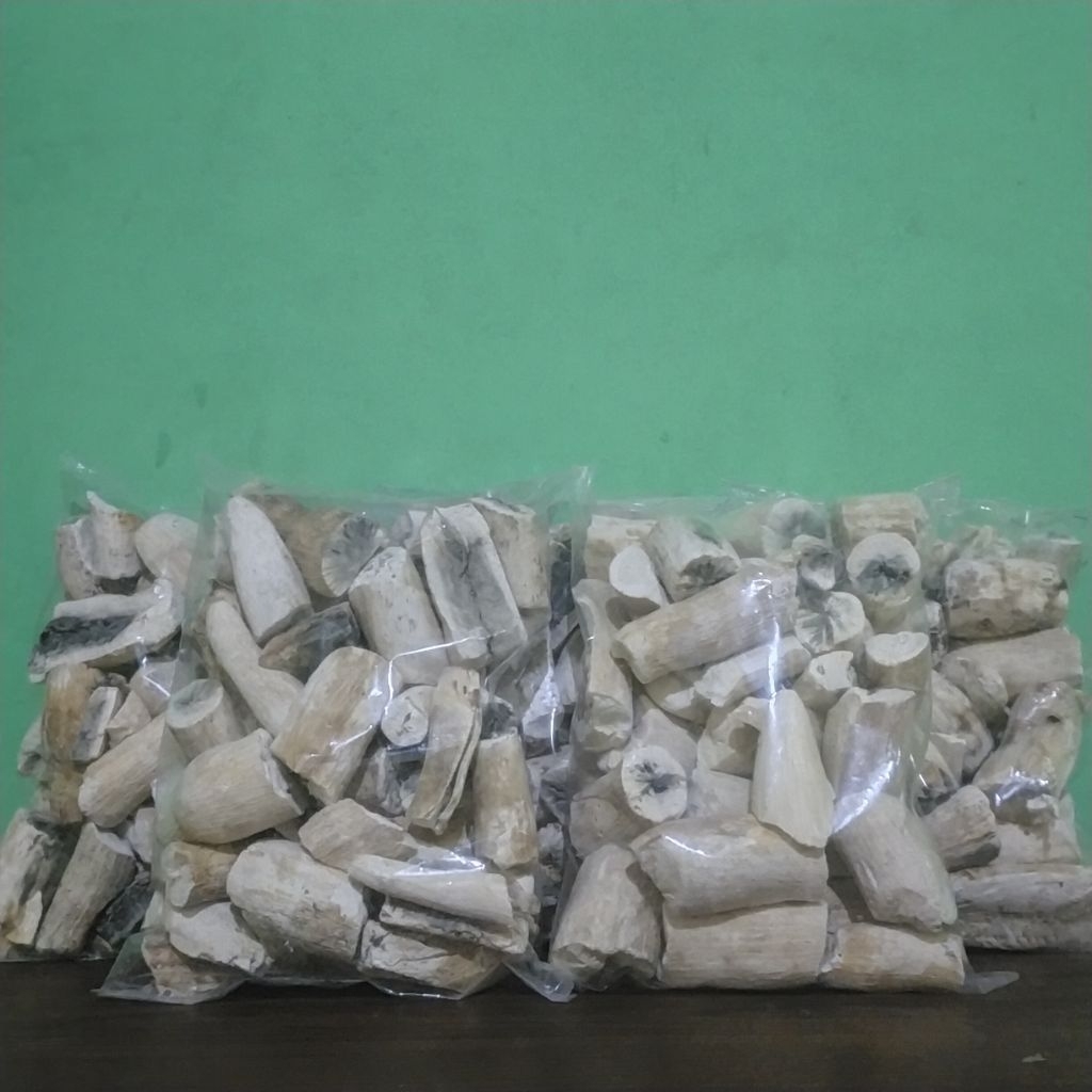 GATOT GUNUNG KIDUL/GATOT INSTAN