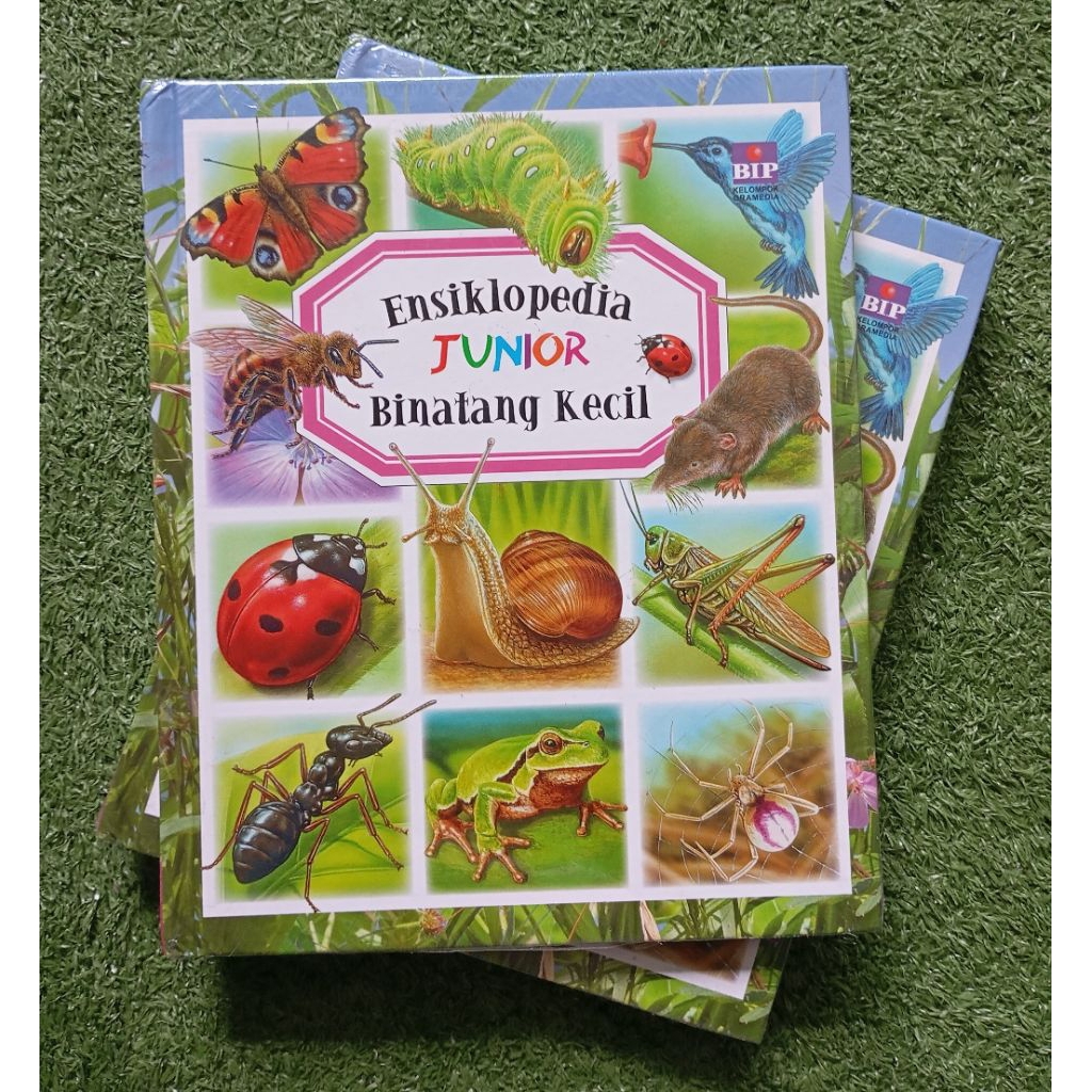 Ensiklopedia Junior Binatang Kecil (Ori, New, Segel)