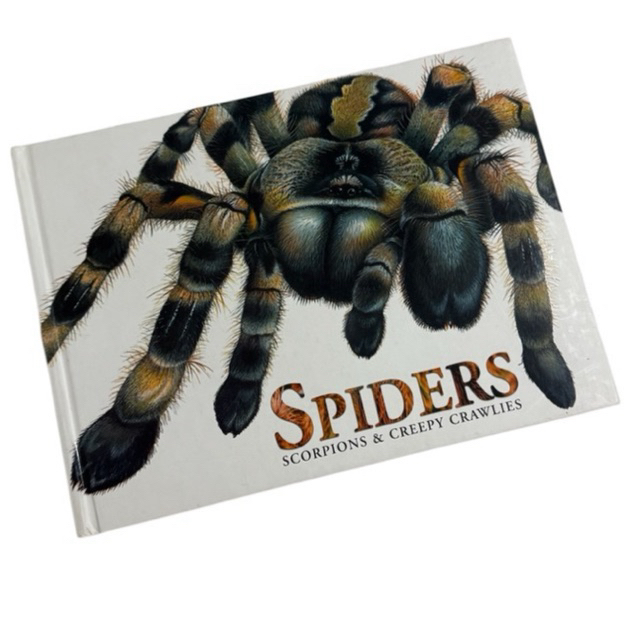 Spiders, Scorpions & Creepy Crawlies by Claudia Martin | Buku