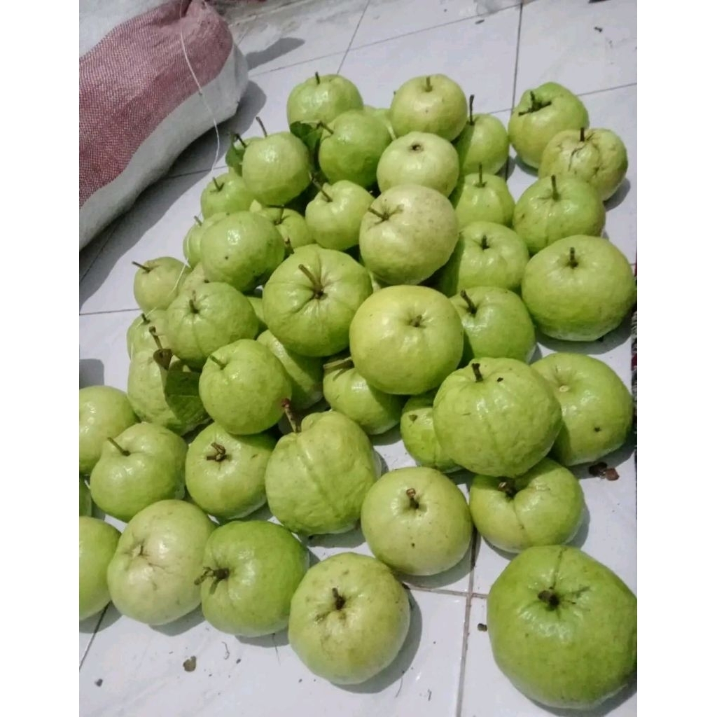 Jambu kristal tanpa biji 1kg murah