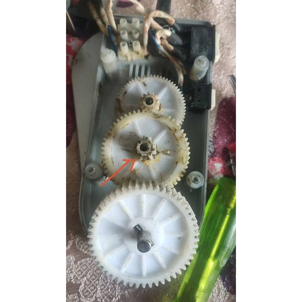 Gear set Noodle Maker Signora Spare part