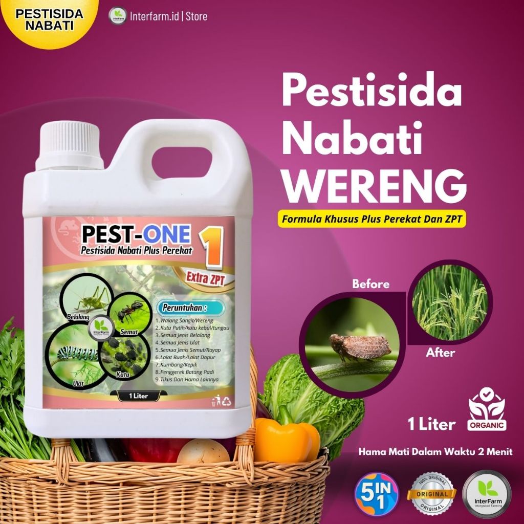 Obat Hama wereng Padi / Pestisida Nabati untuk semua tanaman | obat wereng padi Antihama INTERFARM