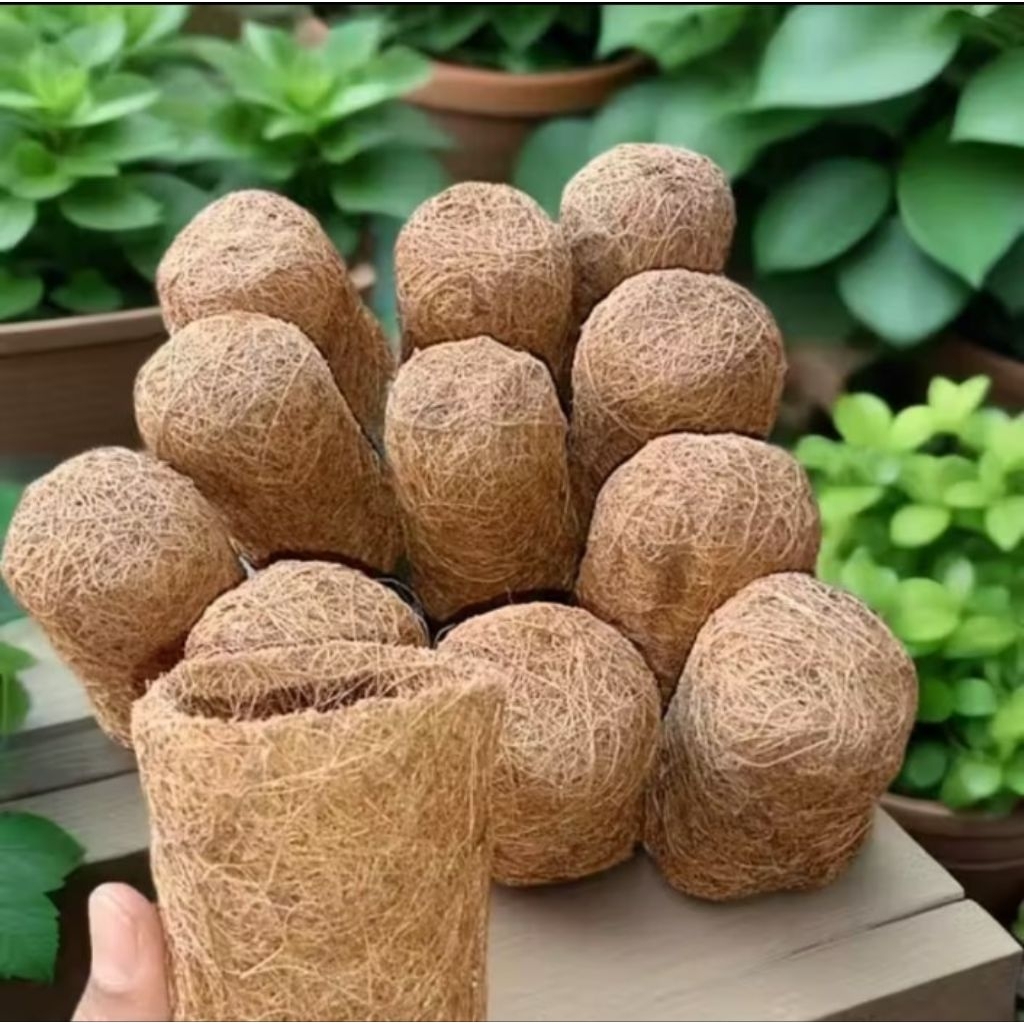 TERMURAH Pot Serabut Kelapa Mini/Pot Bonsai/Pot Bibit Tanaman
