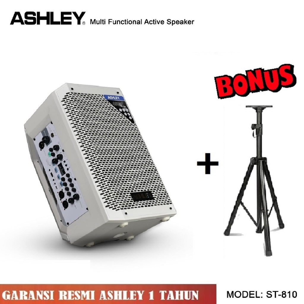 SPEAKER PORTABLE ASHLEY ST 810 8 INCH 450 WATT AKTIF MULTIFUNGSI SPEAKER USB BLUETOOTH GARANSI ORIGI