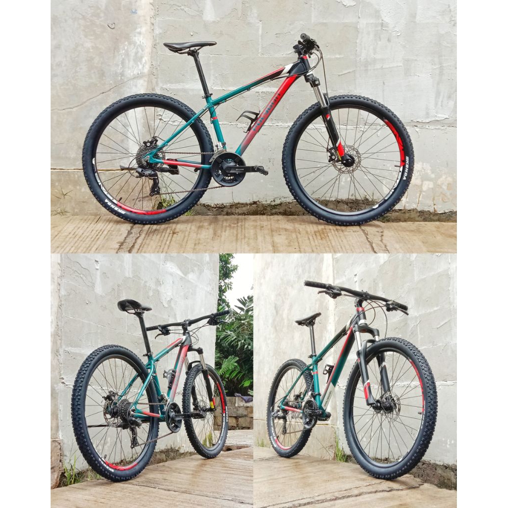 mtb polygon cascade 4